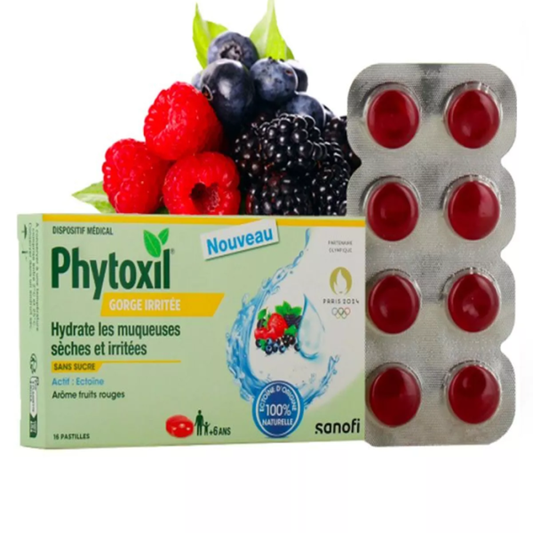 Sanofi phytoxil pastilles gorge irritee fruits rouges 16 pastille